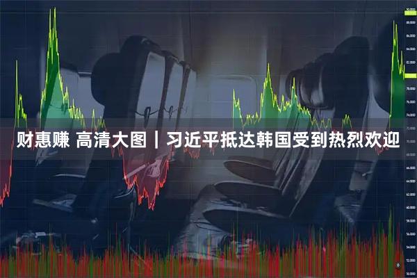 财惠赚 高清大图｜习近平抵达韩国受到热烈欢迎
