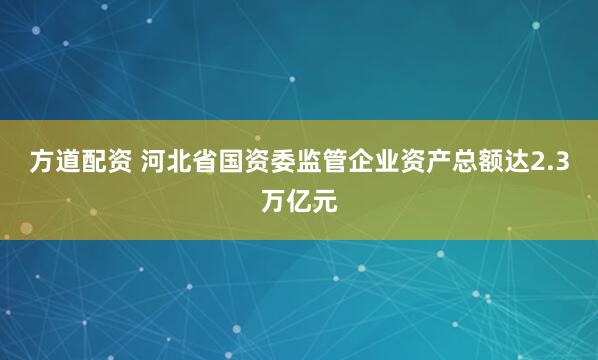 方道配资 河北省国资委监管企业资产总额达2.3万亿元