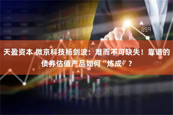 天盈资本 微京科技杨剑波:难而不可缺失!靠谱的债券估值产品如何“炼成”?